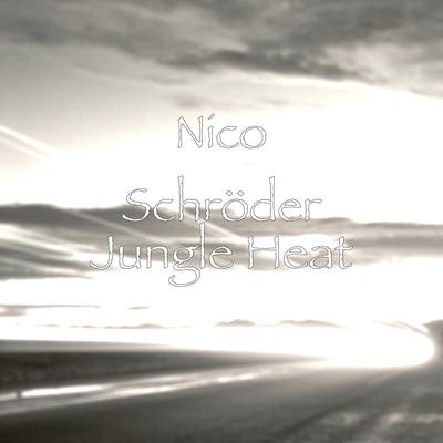 Nico Schröder's cover