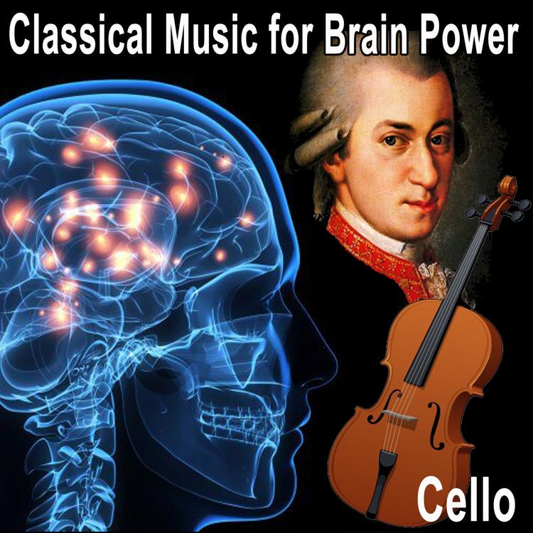 Cello Suite Quartet's avatar image