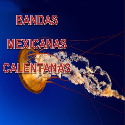 Bandas Mexicanas Calentanas's cover