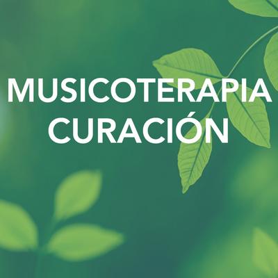 Chakra Música Cura's cover