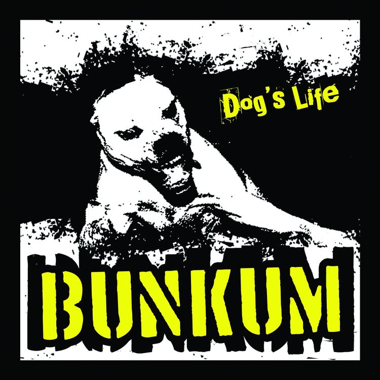 Bunkum's avatar image