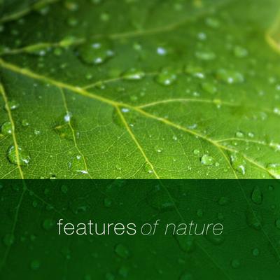 Features of Nature's cover