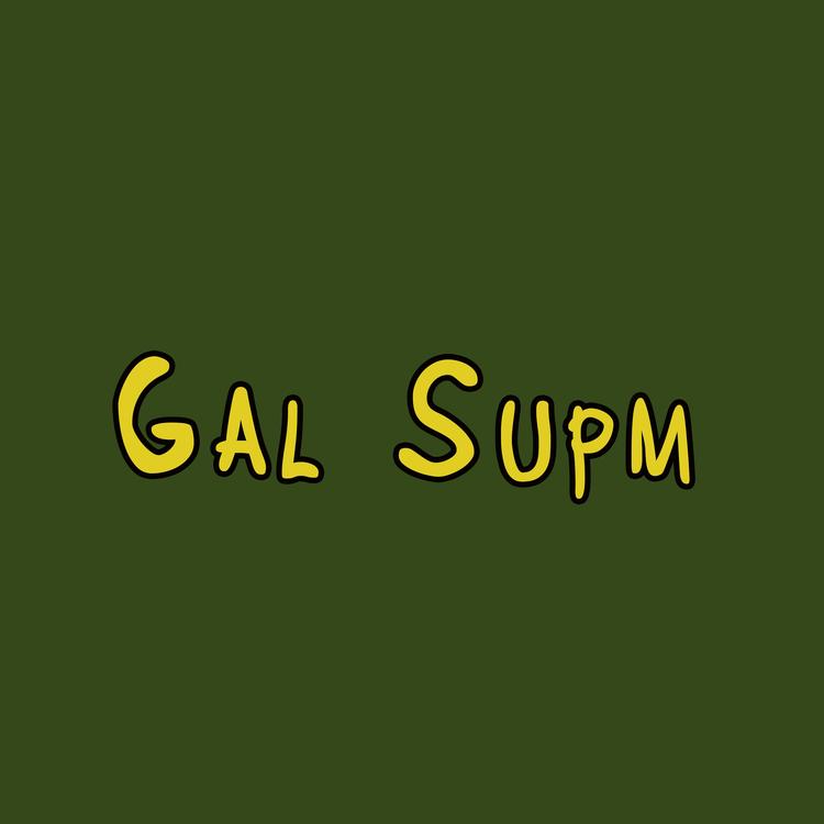 Gal Supm's avatar image