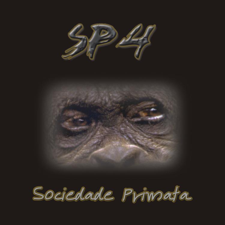 SP4's avatar image