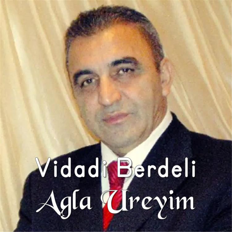 Vidadi Berdeli's avatar image