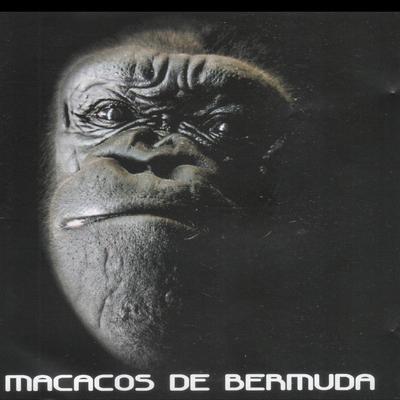 Te Esqueci By Macacos de Bermuda's cover