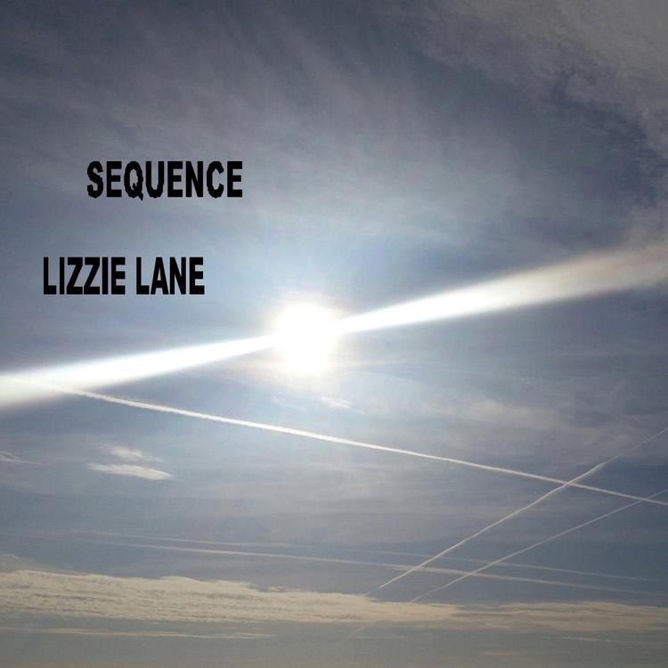 Lizzie Lane's avatar image