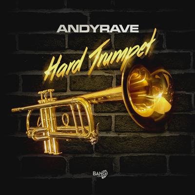 Andyrave's cover