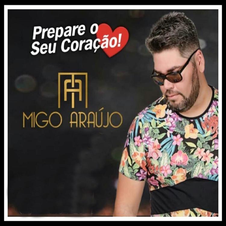 Migo Araújo's avatar image