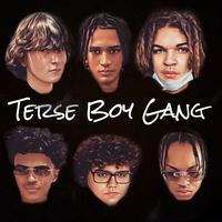 Terse Boy Gang's avatar cover