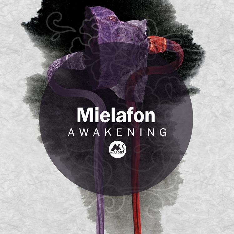 Mielafon's avatar image