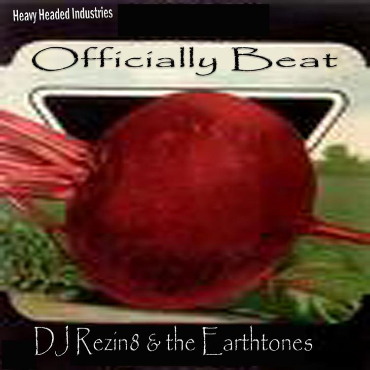 DJ Rezin8 & The Earthtones's avatar image