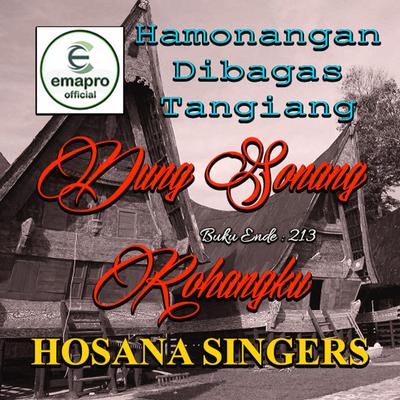 Dung Sonang Rohangku's cover
