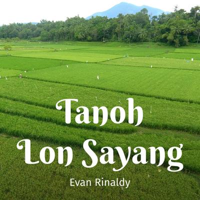 Evan Rinaldy's cover