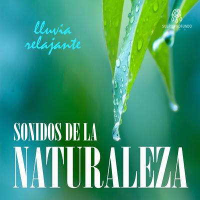 Sonidos de la Naturaleza: Lluvia Relajante, Pt. 05 By Lluvia del Bosque, Lluvia para Dormir, Sueño Profundo Club's cover