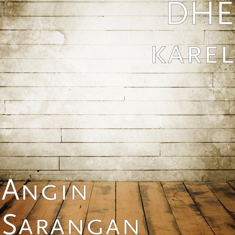 DHE karel's avatar image