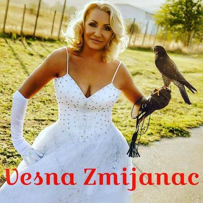 Vesna Zmijanac's cover