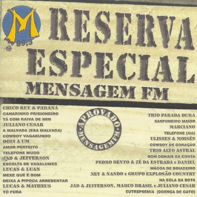 Reserva Especial - Mensagem FM's cover