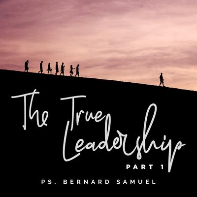The True Leadership 1's cover