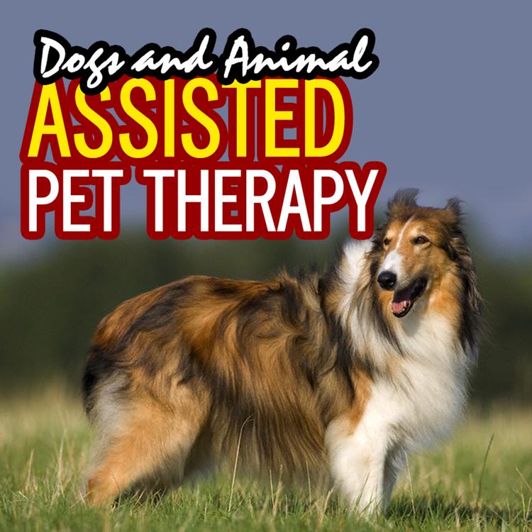 Dog Training Institute's avatar image