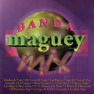 Banda Maguey Mix's cover