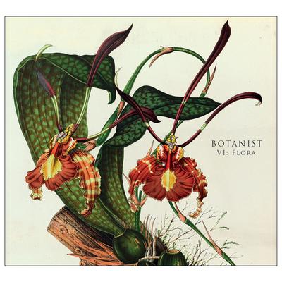 Stargazer By Botanist's cover