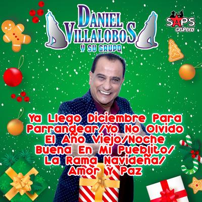 Ya Llego Diciembre para Parrandear / Yo No Olvido el Año Viejo / Noche Buena en Mi Pueblito / La Rama Navideña / Amor y Paz's cover