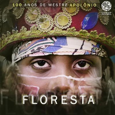 Estrela Miudinha By BOI DA FLORESTA, Gilberto Ferreira's cover