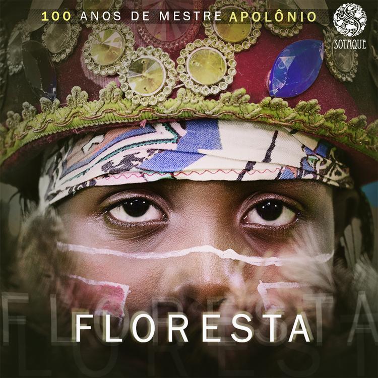 BOI DA FLORESTA's avatar image