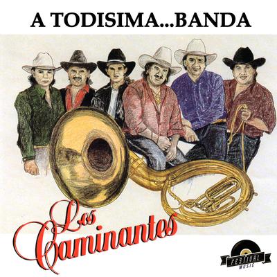 A Todisima Banda's cover