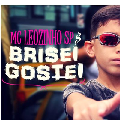 Brisei, Gostei By MC LEOZINHO SP's cover