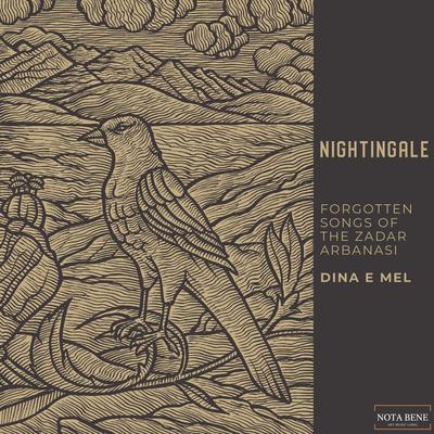 Nightingale - Forgotten Songs of the Zadar Arbanasi's cover