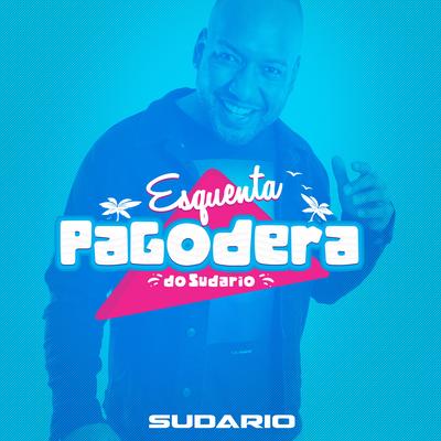 Esquenta Pagodera do Sudario's cover