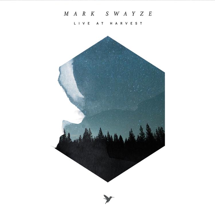 Mark Swayze's avatar image