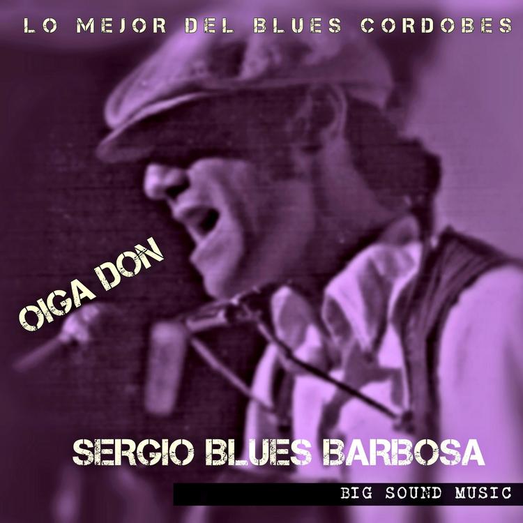 Sergio Blues Barbosa's avatar image