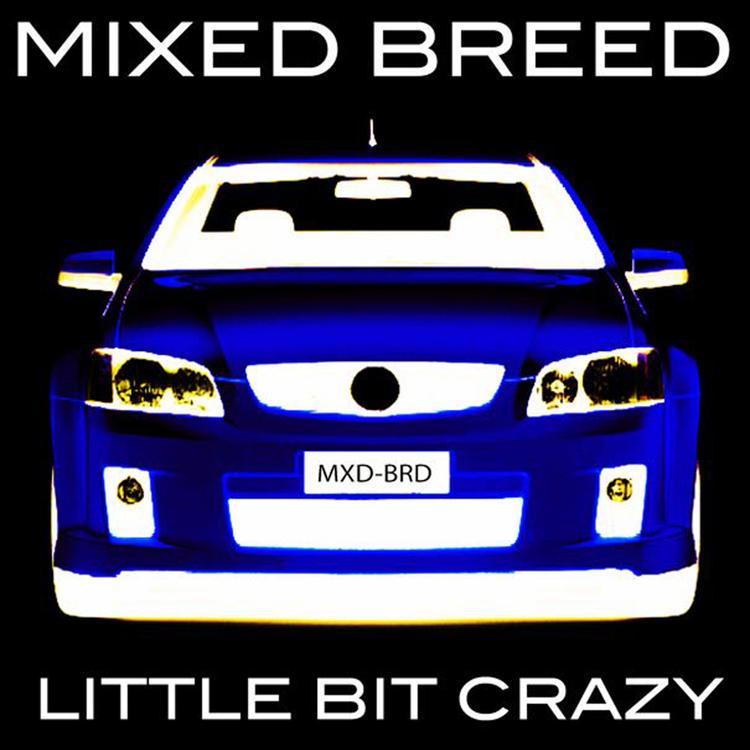 Mixed Breed's avatar image