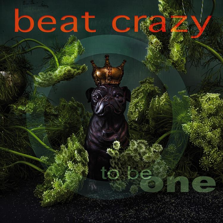 Beat Crazy's avatar image