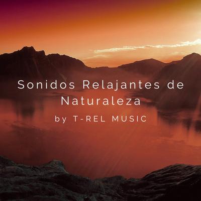 Sonidos Relajantes de Naturaleza's cover