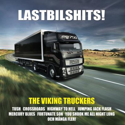 Good Bye Good Luck By The Viking Truckers's cover