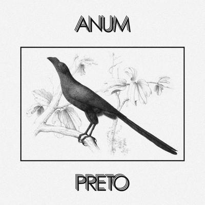 Onda Fria By Anum Preto's cover