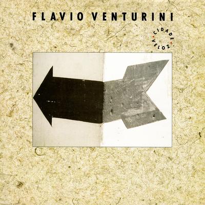 Um Violeiro By Flavio Venturini's cover