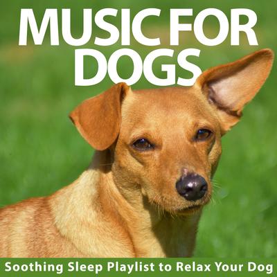 Doggy Love By Dog Music, Relaxmydog's cover