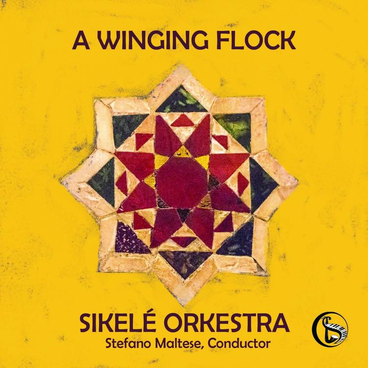 Sikelé Orkestra's avatar image