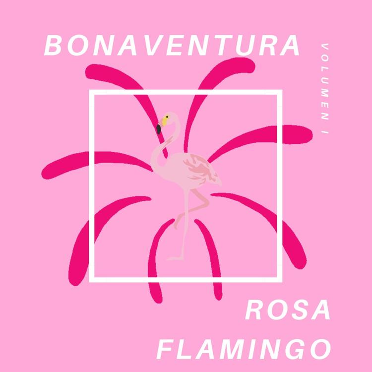 Bonaventura's avatar image