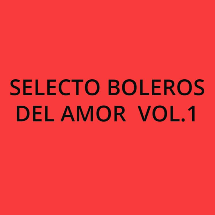 Selecto Boleros del Amor's avatar image
