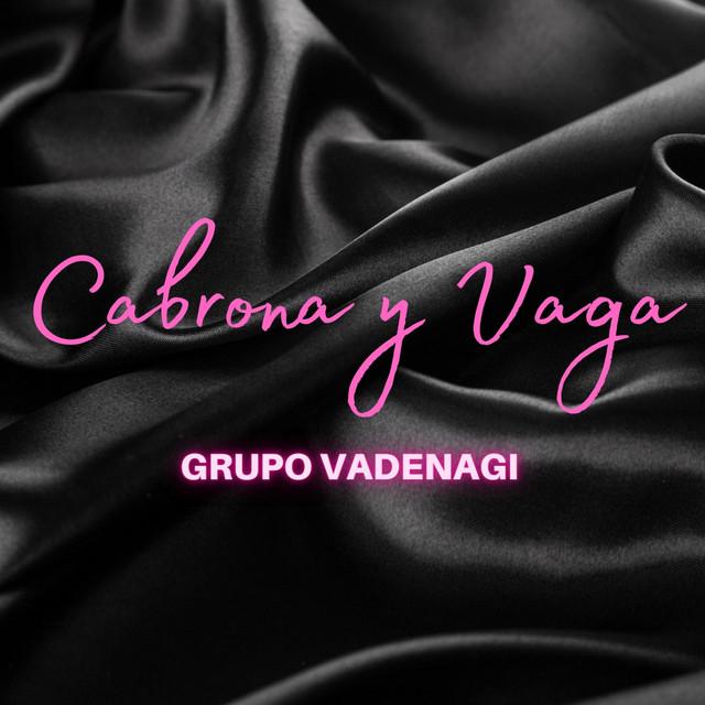 Grupo Vadenagi's avatar image