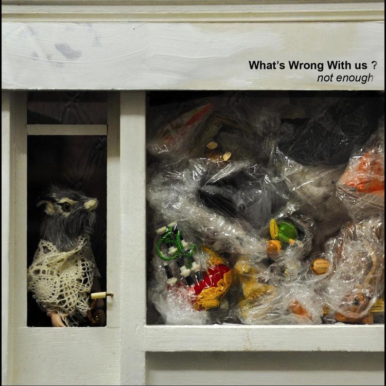 What's Wrong With Us?'s avatar image