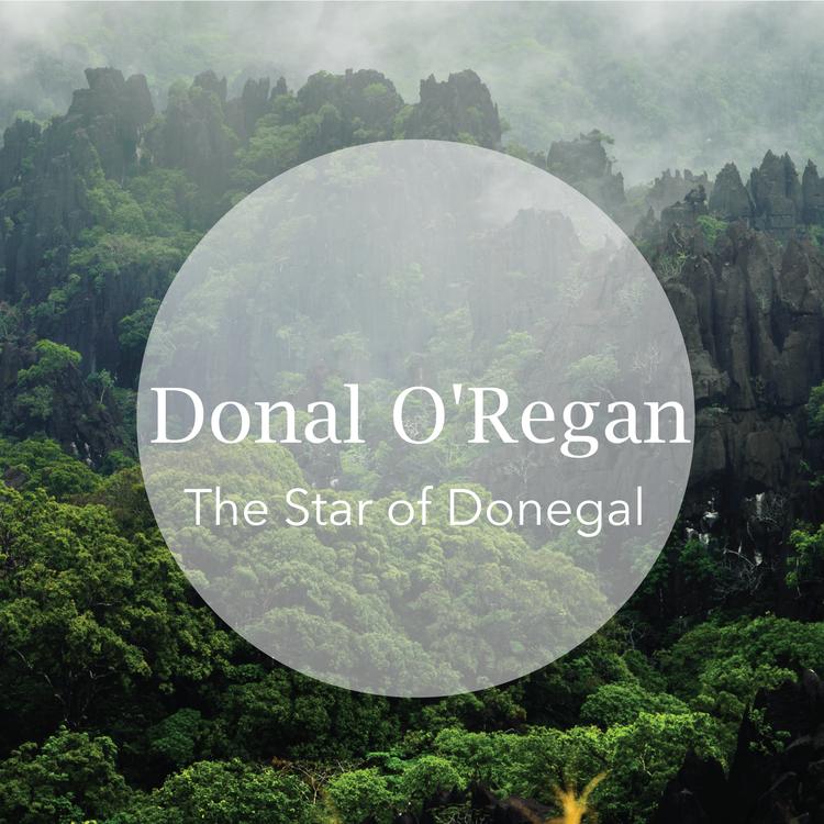 Donal O'Regan's avatar image