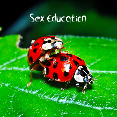 Sex Education By Royal Sadness's cover