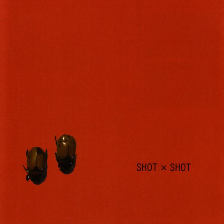 Shot x Shot's avatar image